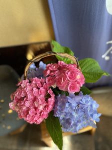 茶六本館　紫陽花