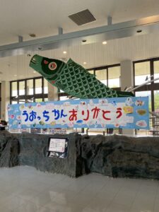 魚っ知館閉館　宮津　茶六本館