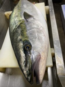 伊根　寒ブリ　茶六本館　