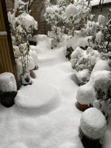 茶六本館　宮津市　旅館