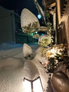 茶六本館　宮津市　旅館