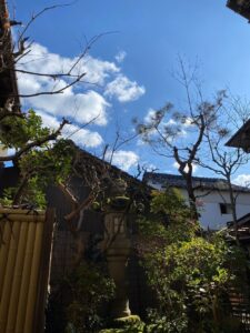 茶六本館　宮津市　旅館