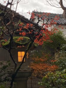 茶六本館　宮津市　旅館