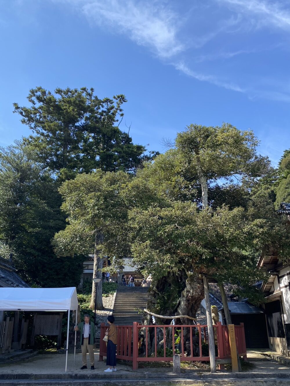 山王宮日吉神社　赤ちゃん初土俵入り