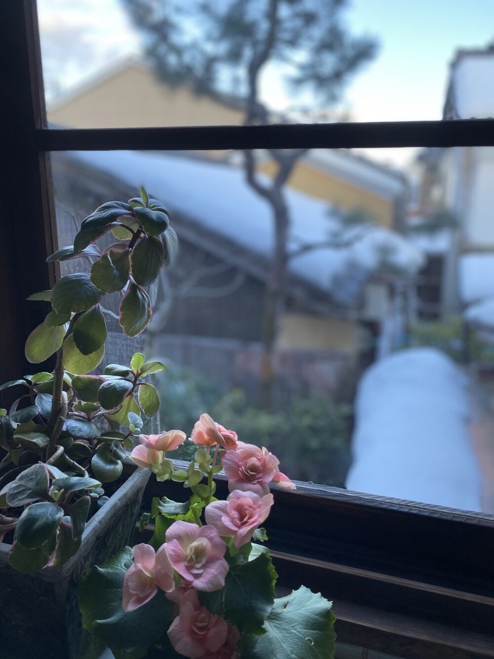 宮津市　茶六本館