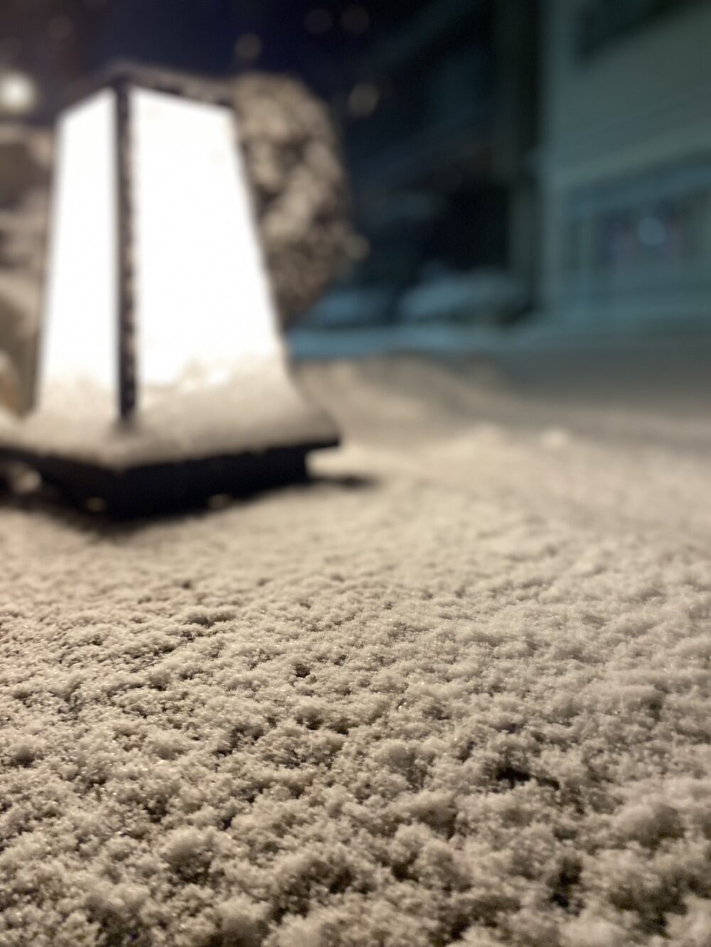 雪景色　宮津市　茶六本館　旅館